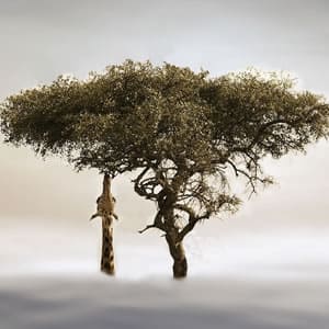 信じられていた9つの世界と世界樹